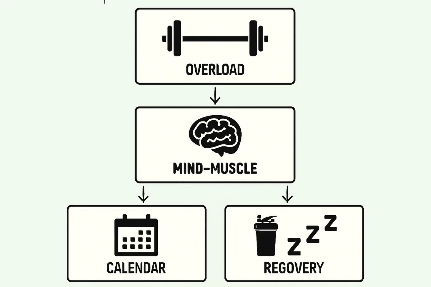 Simple flowchart titled &#34;Your Glute Growth Formula&#34;. Icons: Barbell (Overload), Brain (Mind-Muscle), Arrows (Full ROM), Calendar (Frequency), Food/Sleep (Recovery).